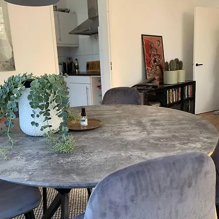 City Appartamento Haarlem